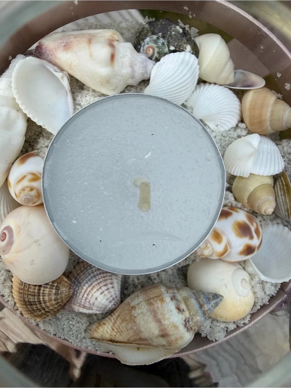 Coastal Decor | Tealight Candle | SeaShell Sculpture